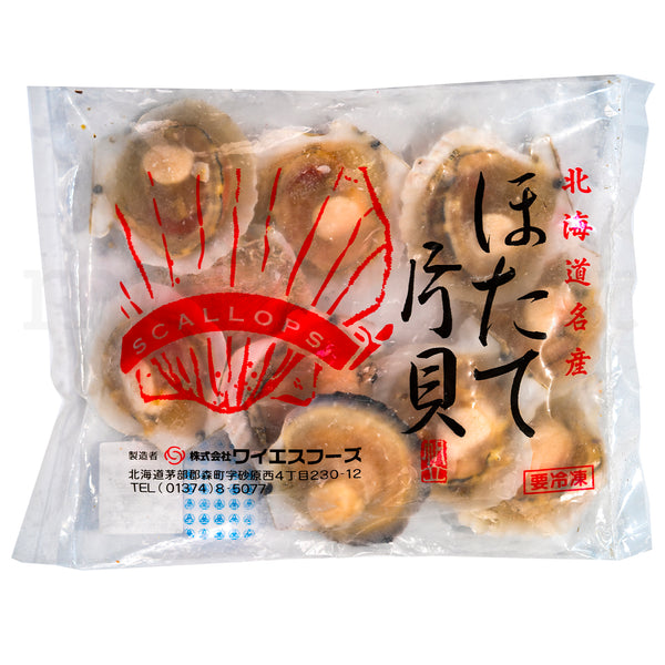 YS Hotate Katagai - Frozen Scallop 9-10cm Shell 10pc