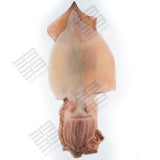 KIBUN Ika Ichiya Boshi - Frozen Dried Squid 165g